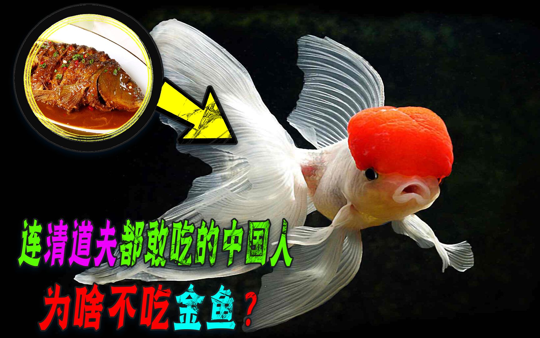 号称什么都吃的中国人,为啥偏偏不吃金鱼?金鱼做错了什么?
