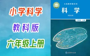 下载视频: 小学科学 教科版 六年级上册 2023新版 教学视频 科学6年级上册