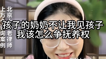 孩子的奶奶不让我见孩子,我该怎么争抚养权?哔哩哔哩bilibili