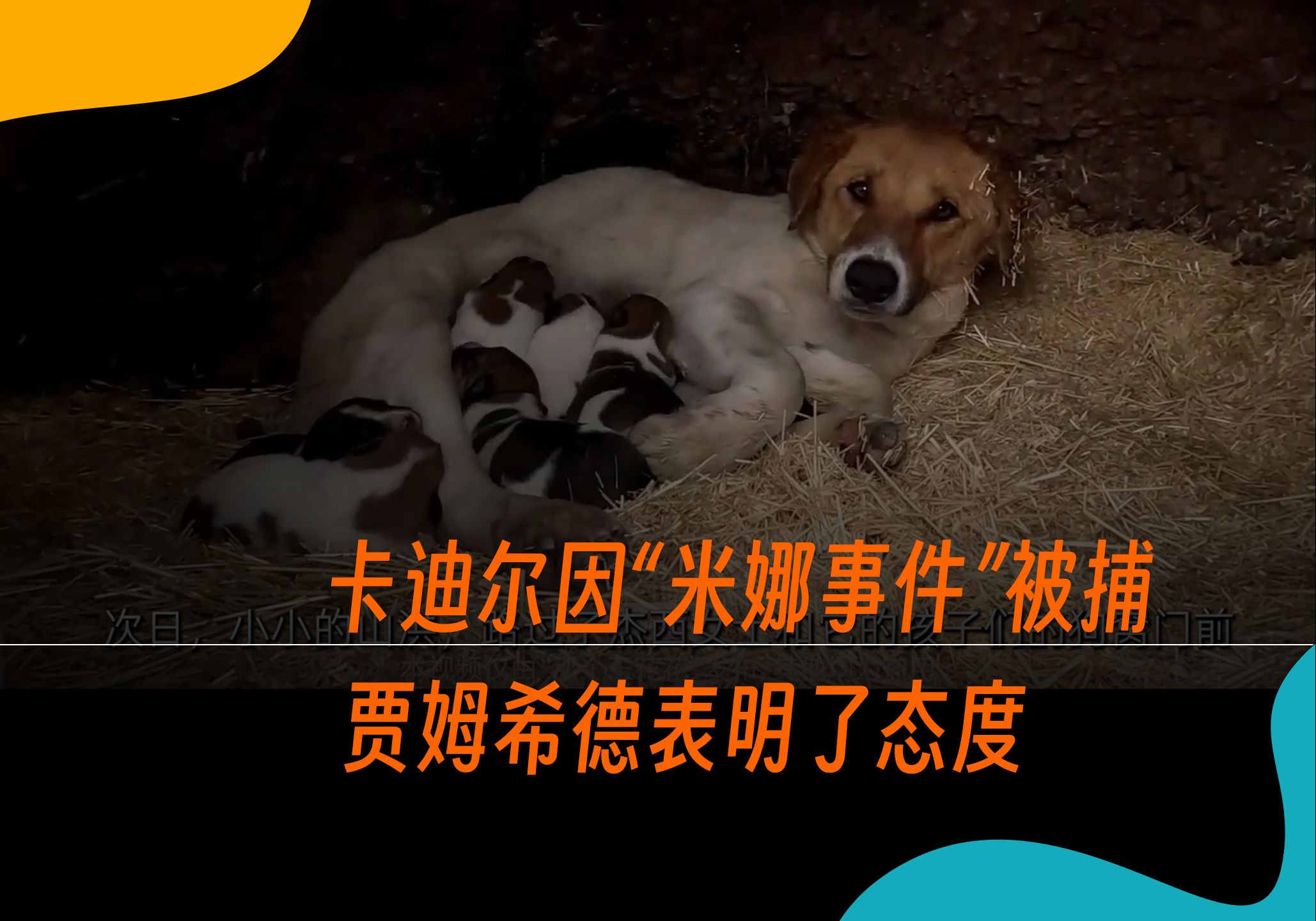 60-卡迪尔因"米娜事件"入狱了,贾姆希德表明了对此事的态度