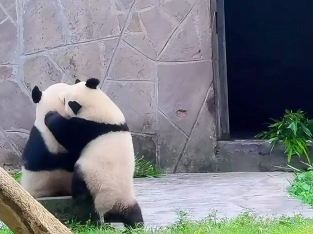 小五:妈妈不陪玩我就捣乱