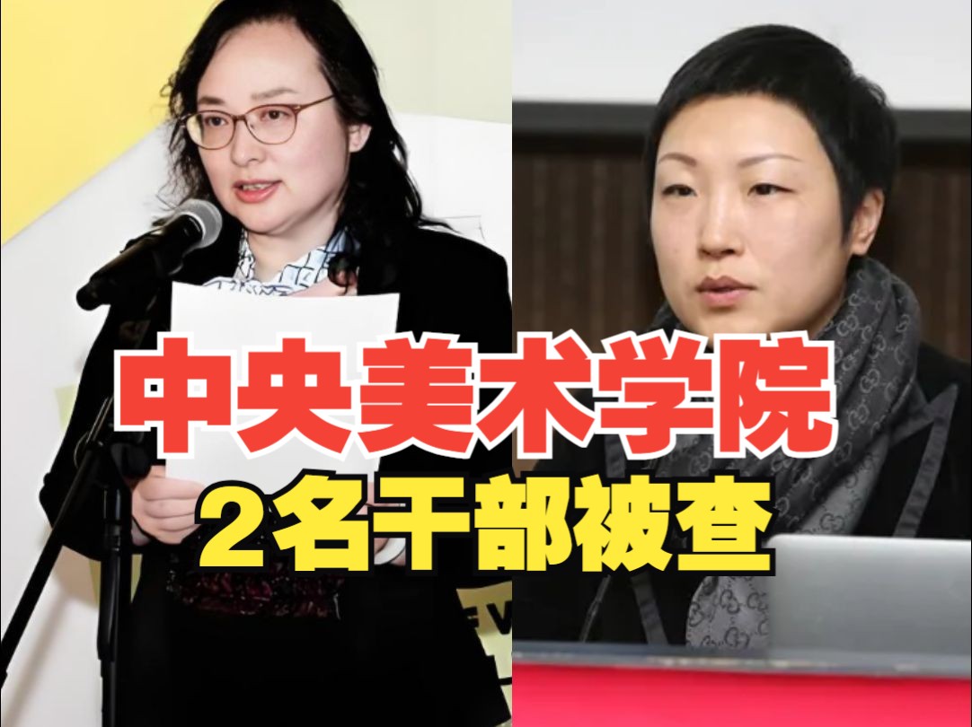 中央美术学院2名干部被查,1人系主动投案哔哩哔哩bilibili