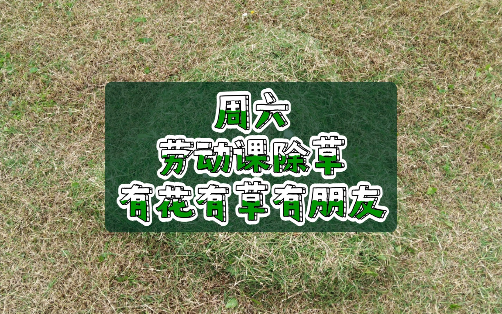 【周六】劳动课除草vlog  有花有草有朋友