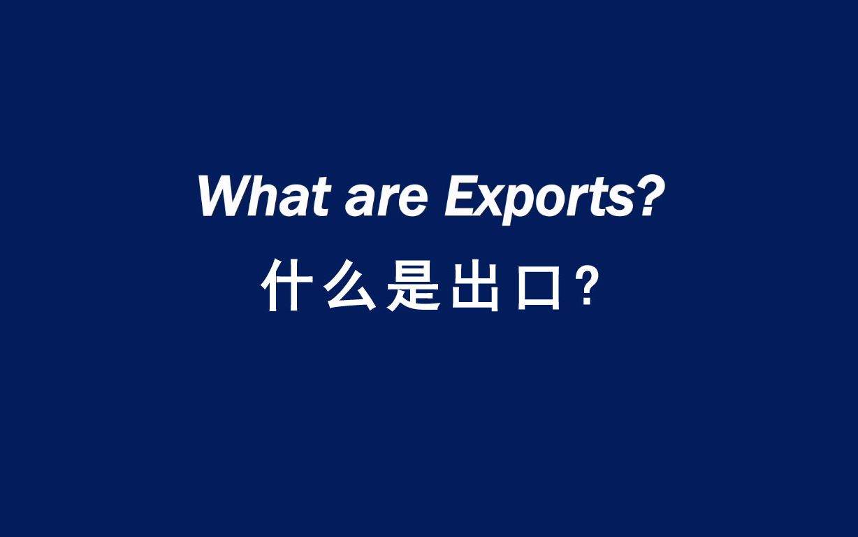 什么是出口? What are Exports?(英文字幕)哔哩哔哩bilibili