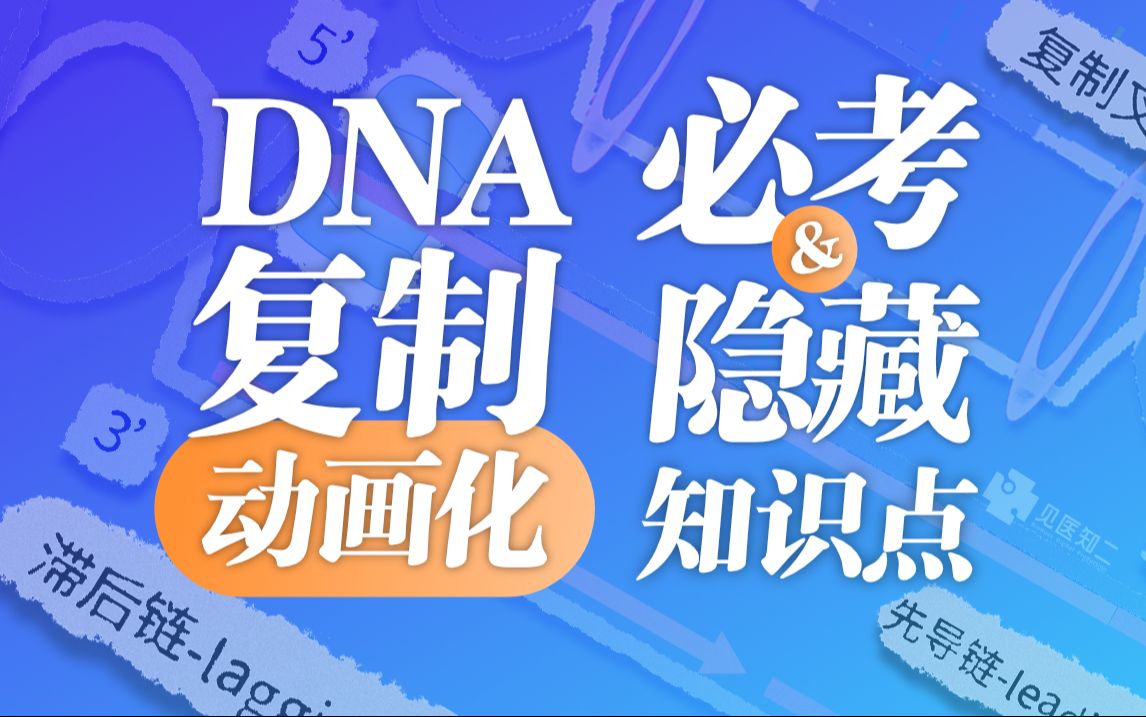 【高中生物】DNA复制过程  终极原理动画哔哩哔哩bilibili