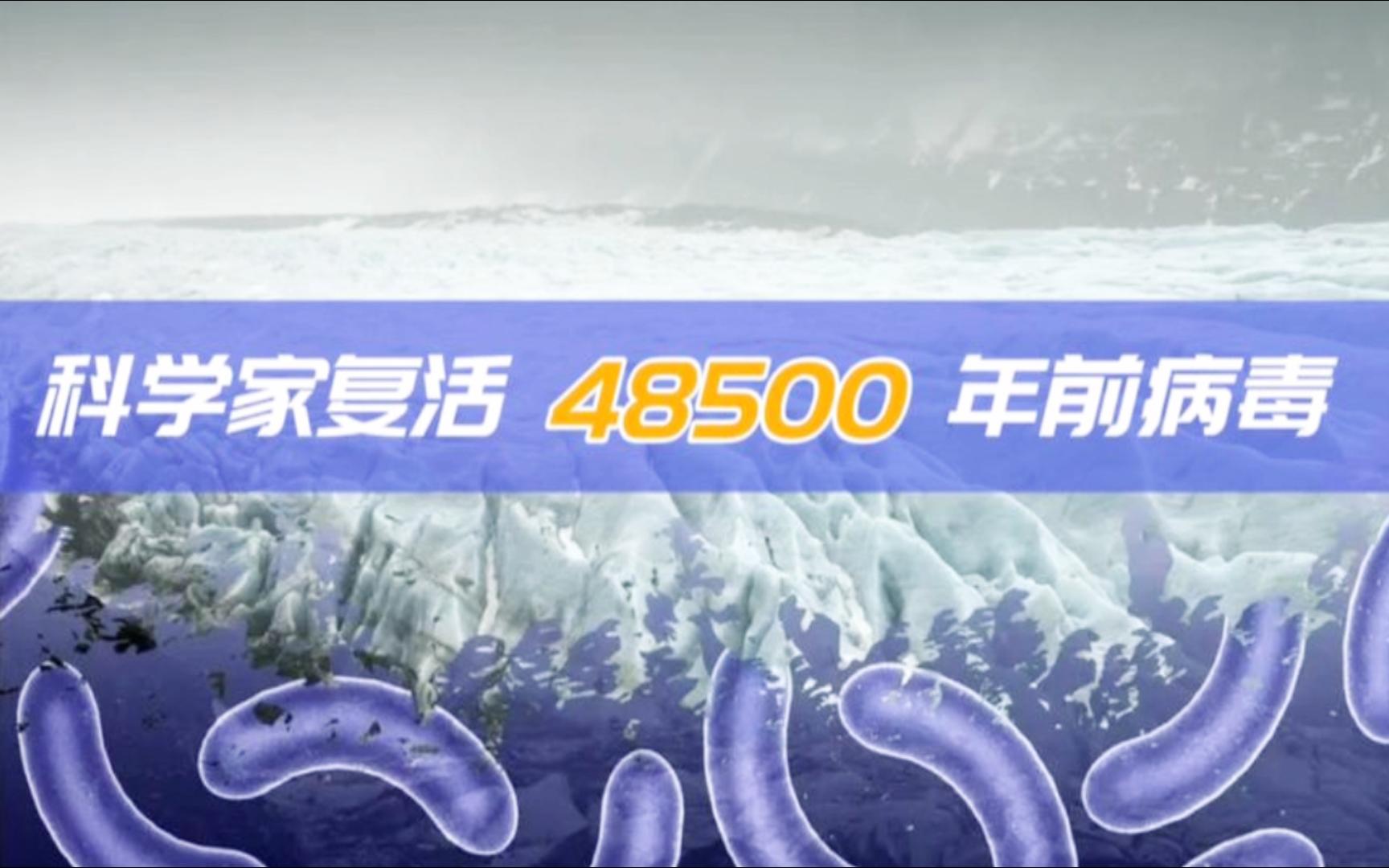 科学家复活48500年前的病毒?生物科学家为什么要复活病毒?哔哩哔哩bilibili