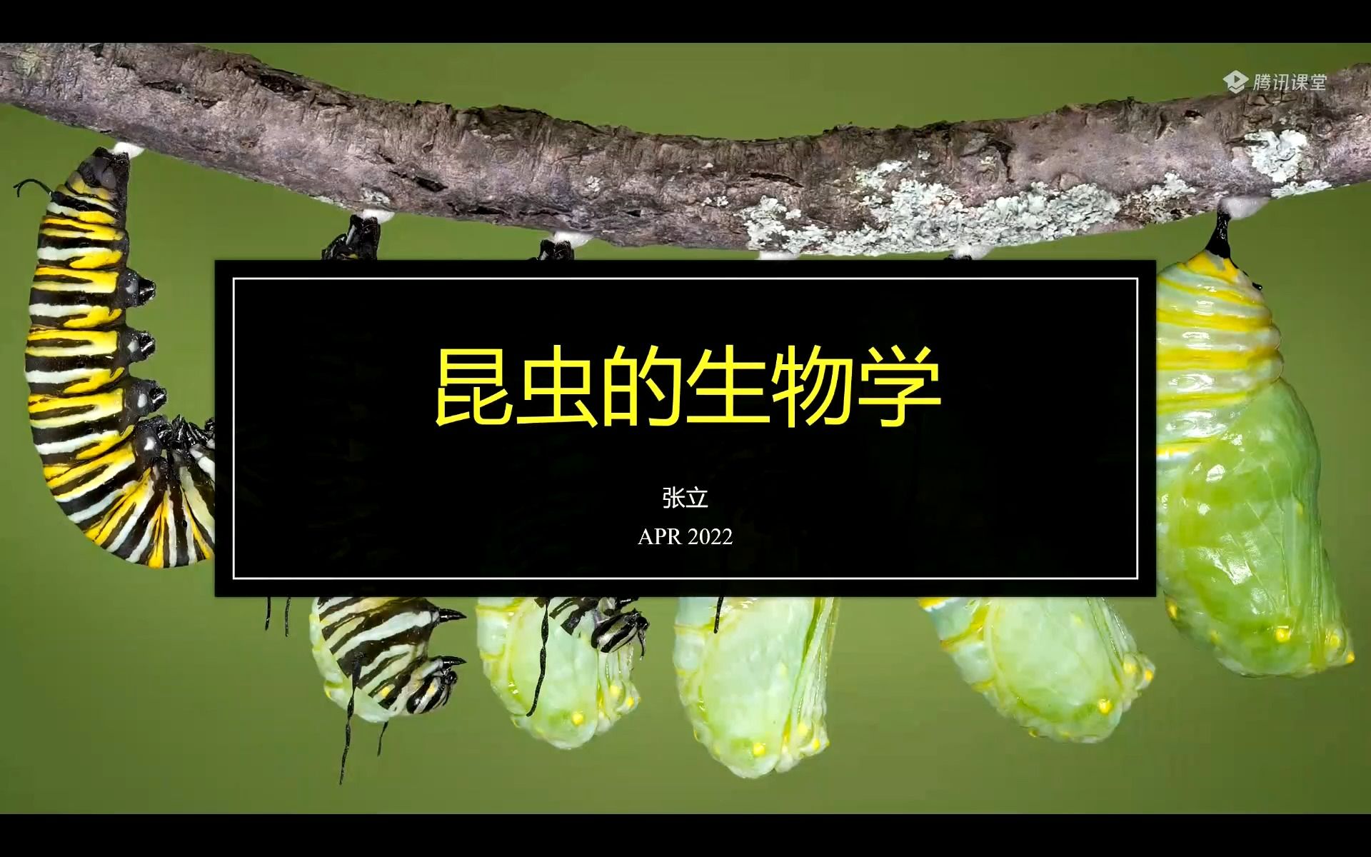 [图]第四章 昆虫的生物学 -1.昆虫的生殖方式