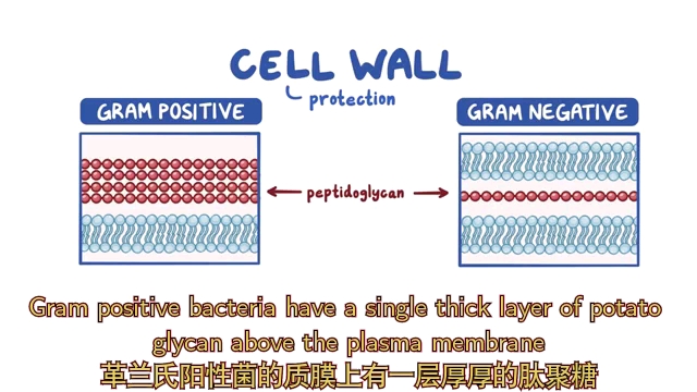 微生物学—细菌概论哔哩哔哩bilibili