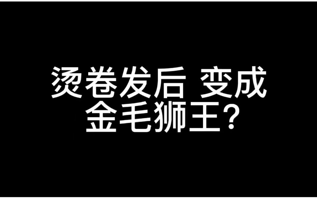 烫卷发后变成金毛狮王?_哔哩哔哩_bilibili