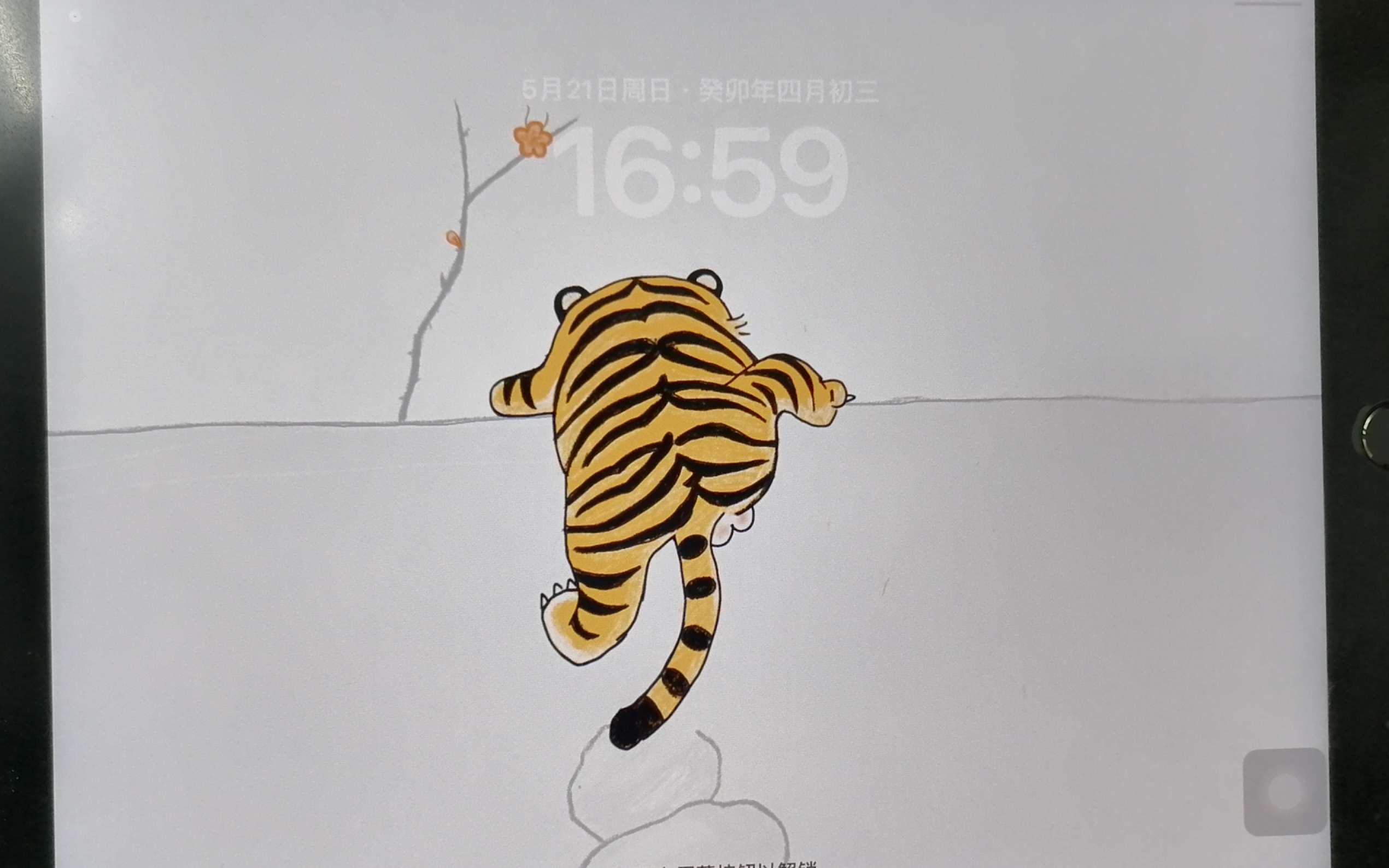 老虎嗷呜壁纸图片