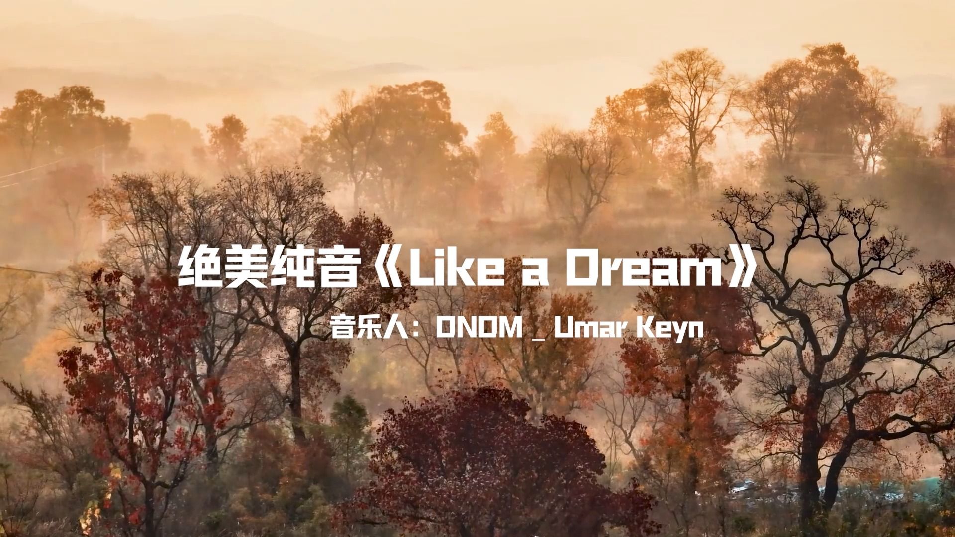 【绝美纯音】《Like a Dream》天籁之音,绝美旋律,如痴如醉!哔哩哔哩bilibili