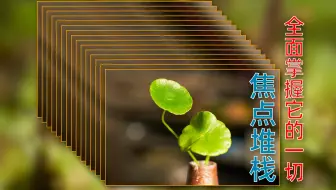 【摄影技法】焦点堆栈：前期拍摄和后期处理全过程