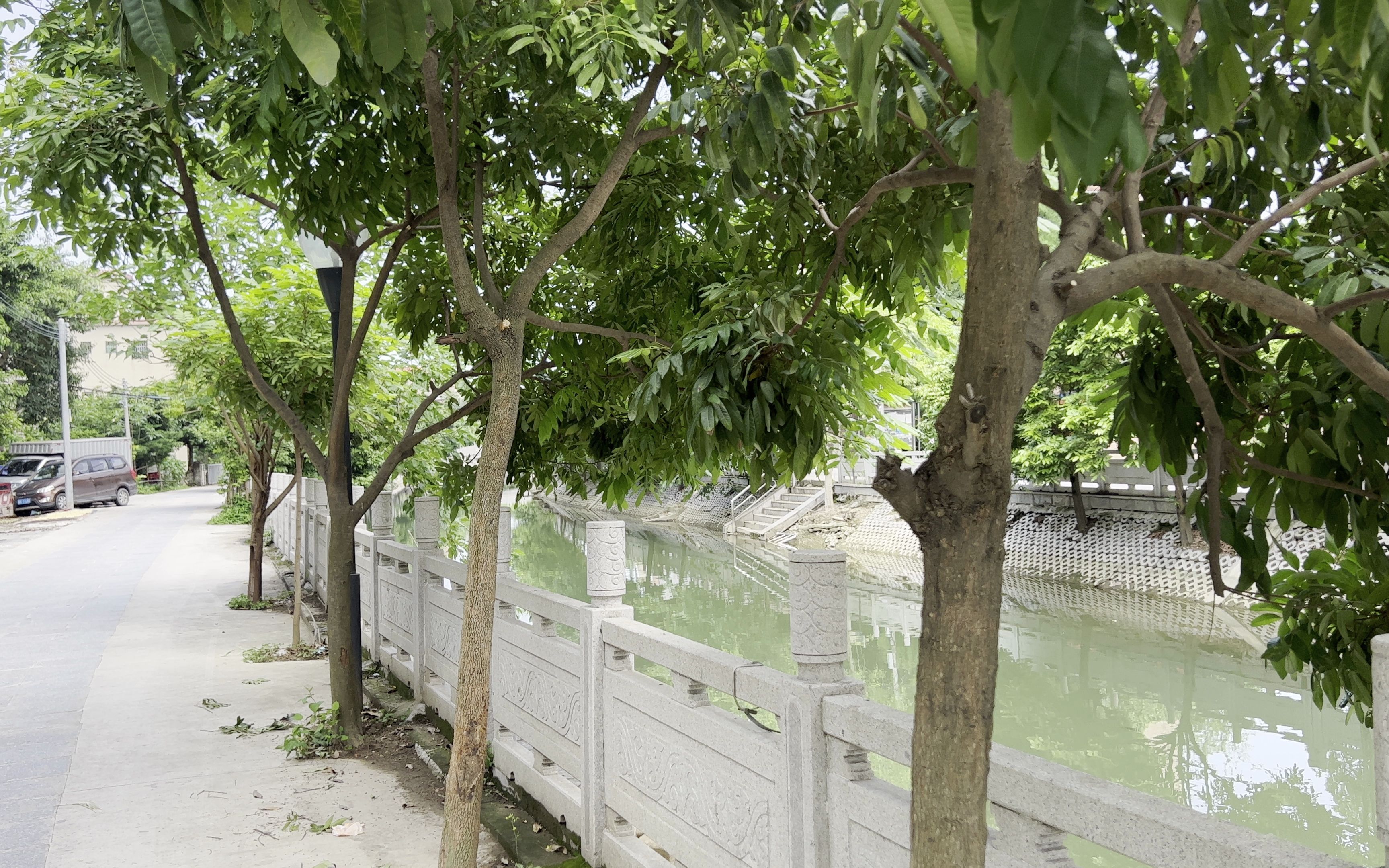 广州市番禺区草河区级湿地公园游记vlog6