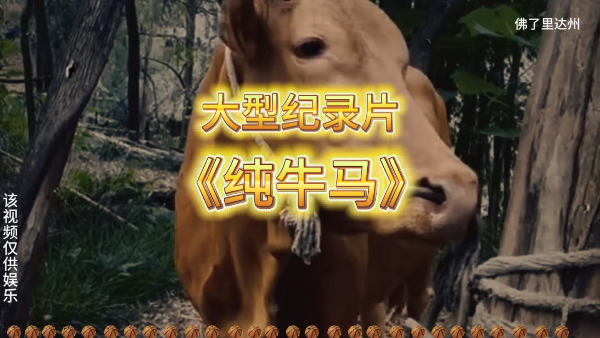 有人是体验牛马,我是真的牛马
