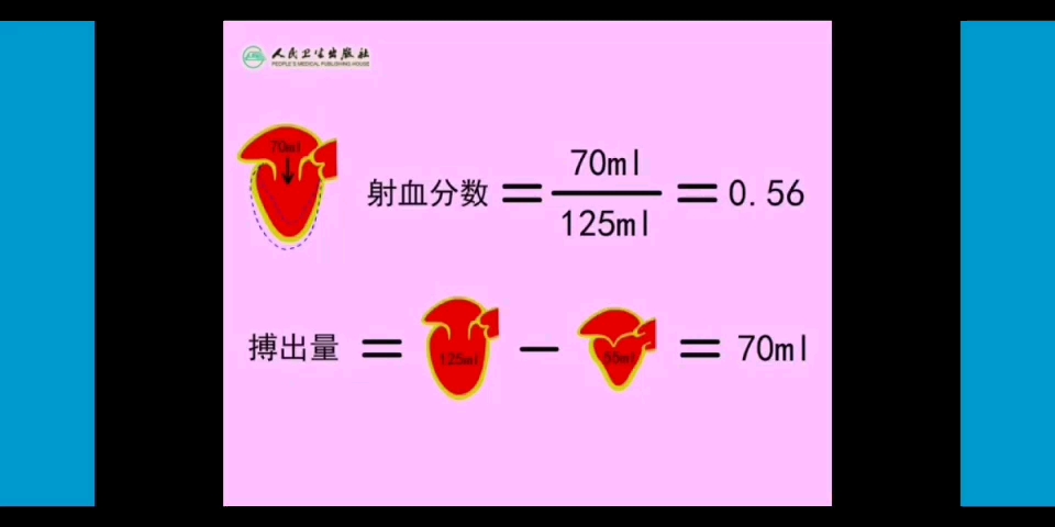 【生理学】搏出量与射血分数哔哩哔哩bilibili