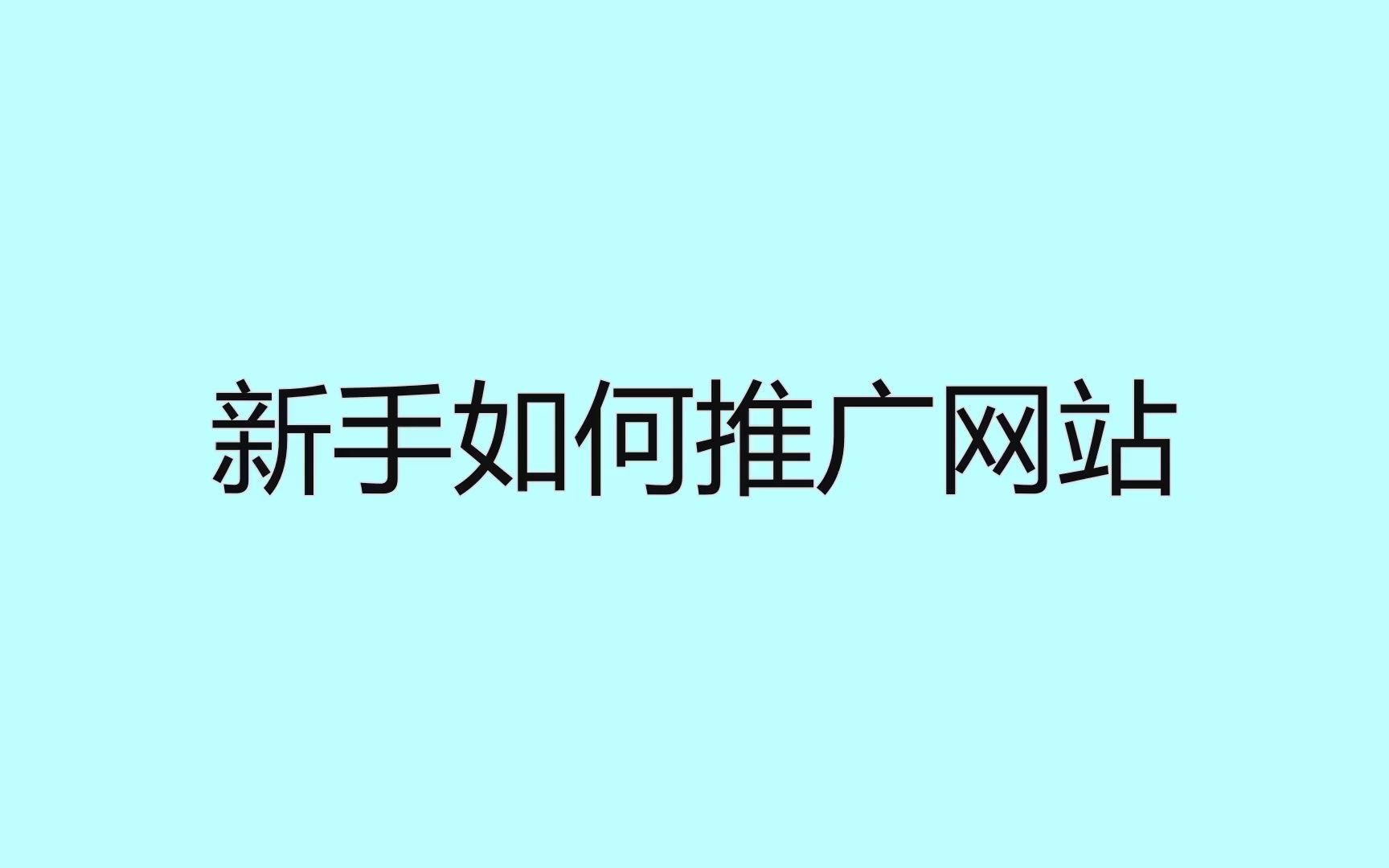 新手如何推广网站?这样玩保证不会缺流量哔哩哔哩bilibili