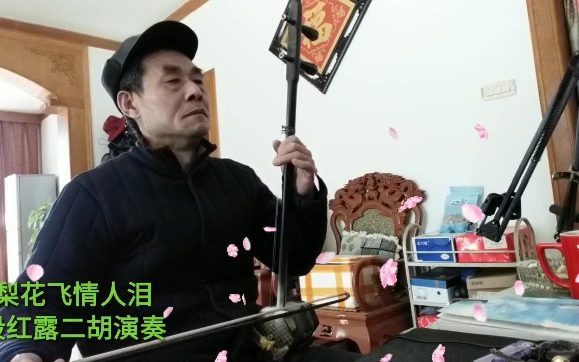 [图]二胡 梨花飞情人泪亲爱的人你在那里。段红露二胡