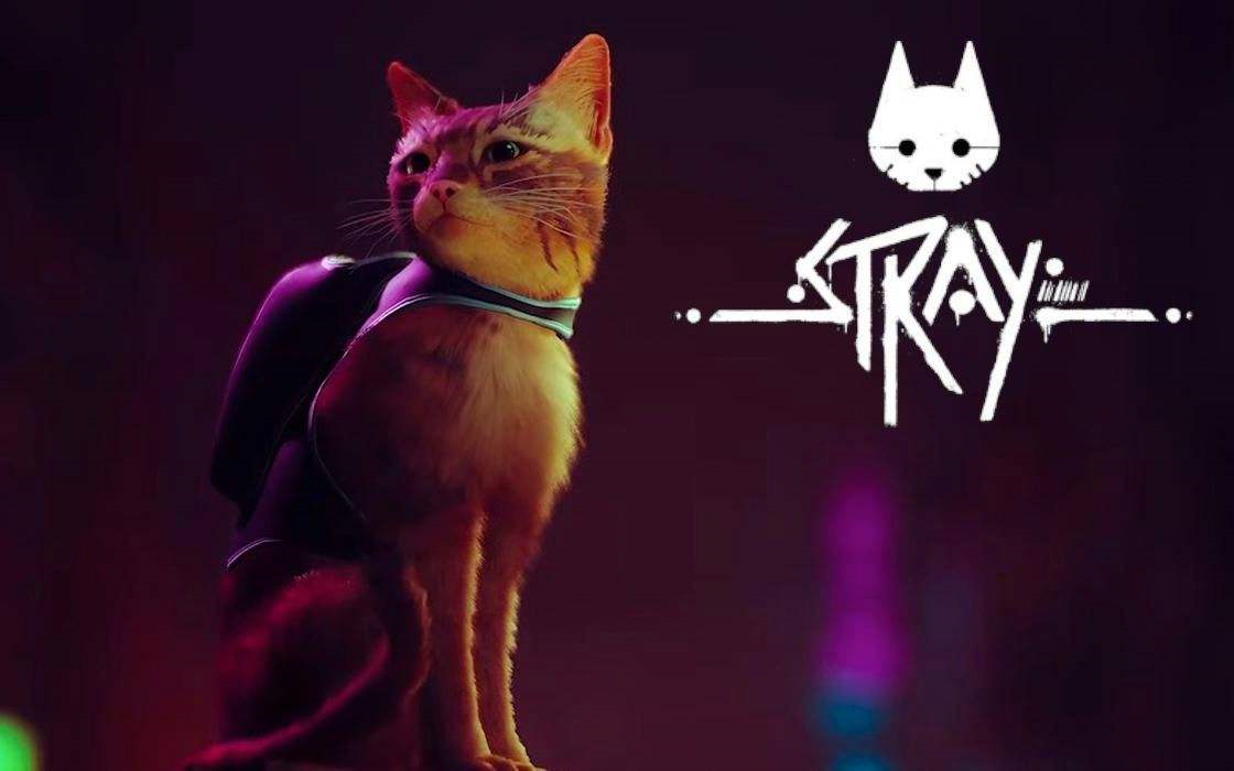 [图]《stray 迷失》初体验剧情式全流程（完结）