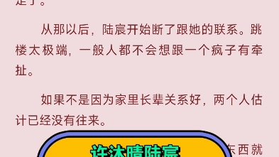 许沐晴陆宸《许沐晴陆宸》大结局