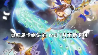灵魂鸟-哔哩哔哩_Bilibili