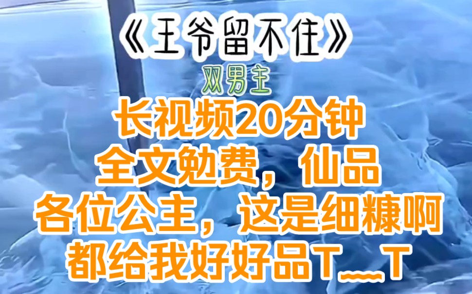 《王爷留不住》古耽双男主/文笔超好,天呐!大虐文,心疼王爷,来个恋爱脑好好爱王爷吧,求求...哔哩哔哩bilibili