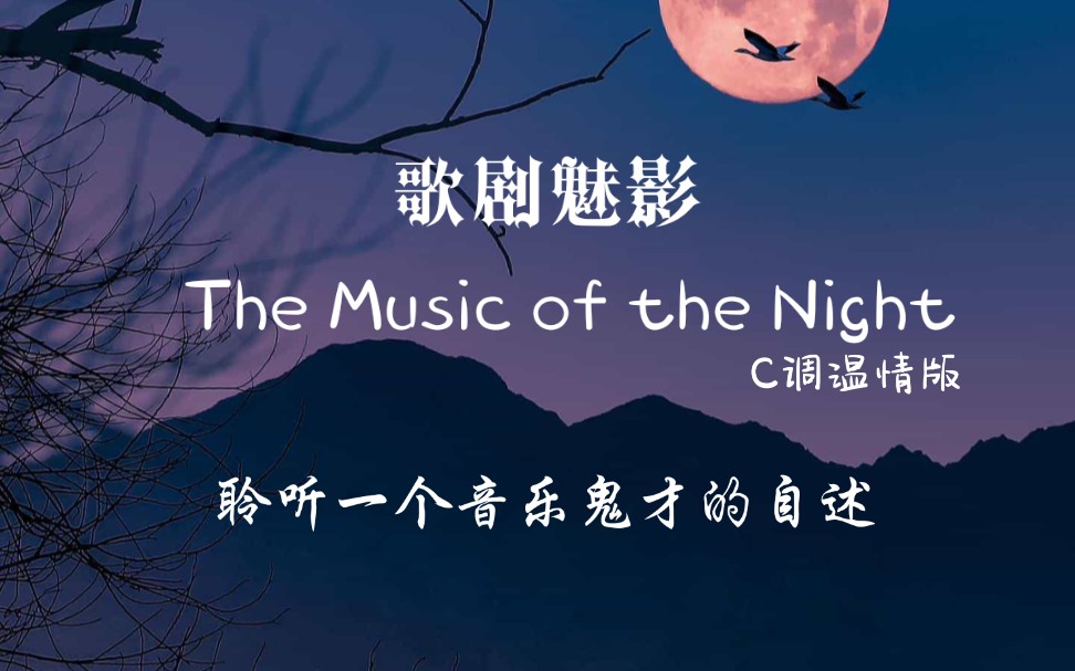 [图]【钢琴】[歌剧魅影选段]夜之乐章 The Music of the Night