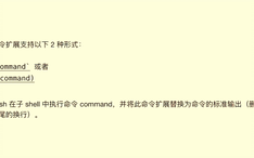 C语言学习531 Bash Shopt 哔哩哔哩