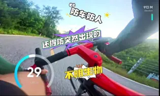 Tải video: 骑车防车防人，还得防突然出现的“不明生物”