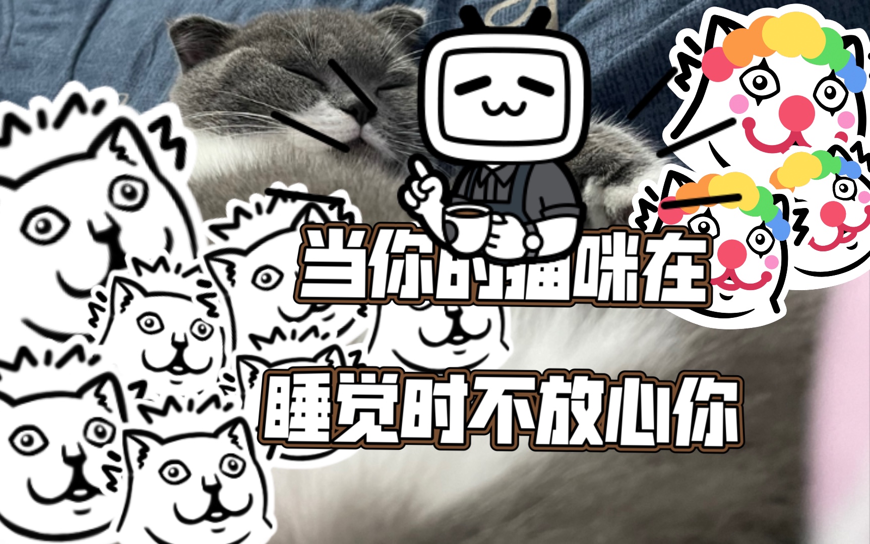 [图]当你的猫咪在睡觉时不放心你……