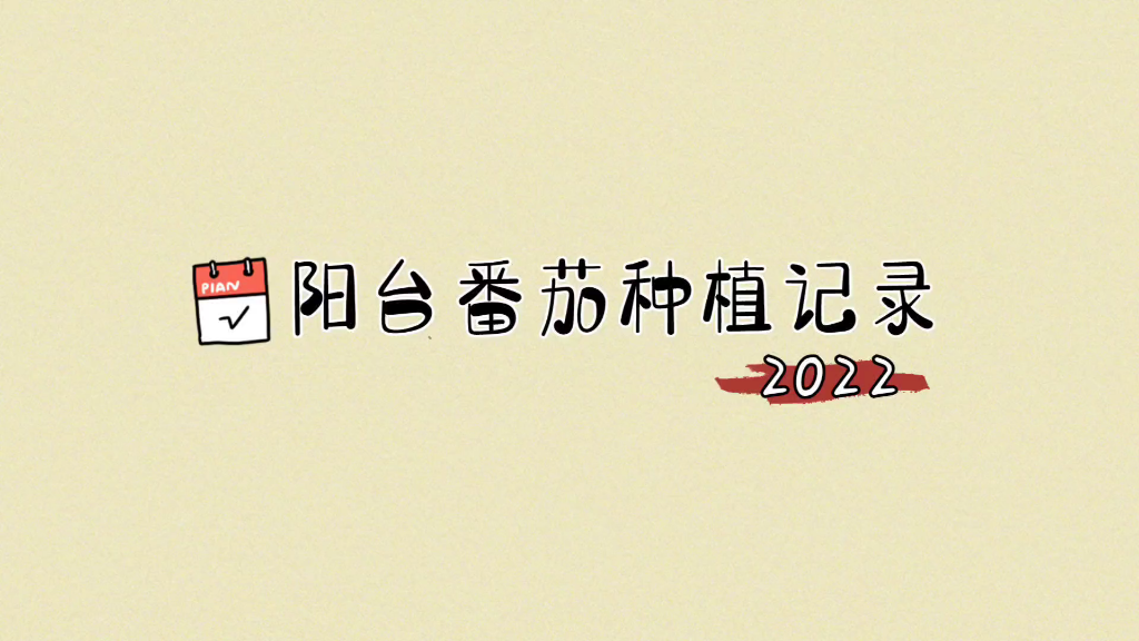 (传家宝番茄)阳台番茄种植记录2022哔哩哔哩bilibili