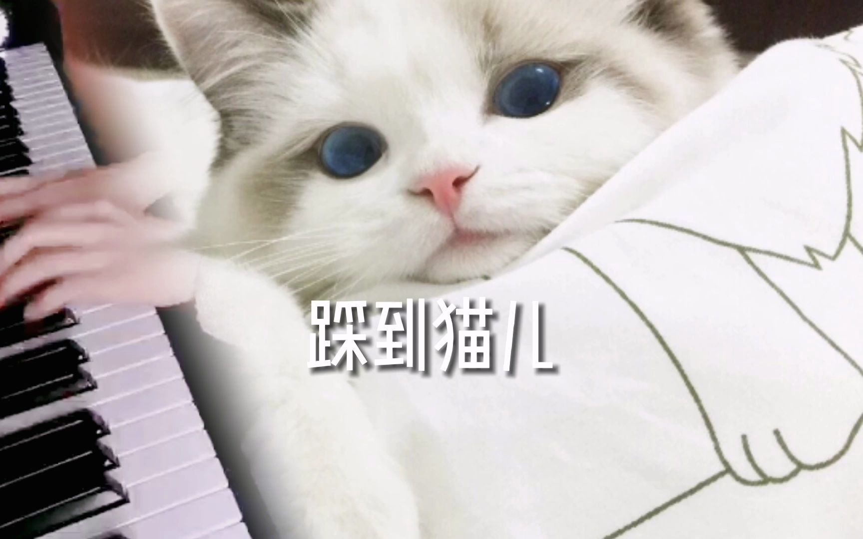 抖音神曲《踩到猫儿》(Cocoball)哔哩哔哩bilibili