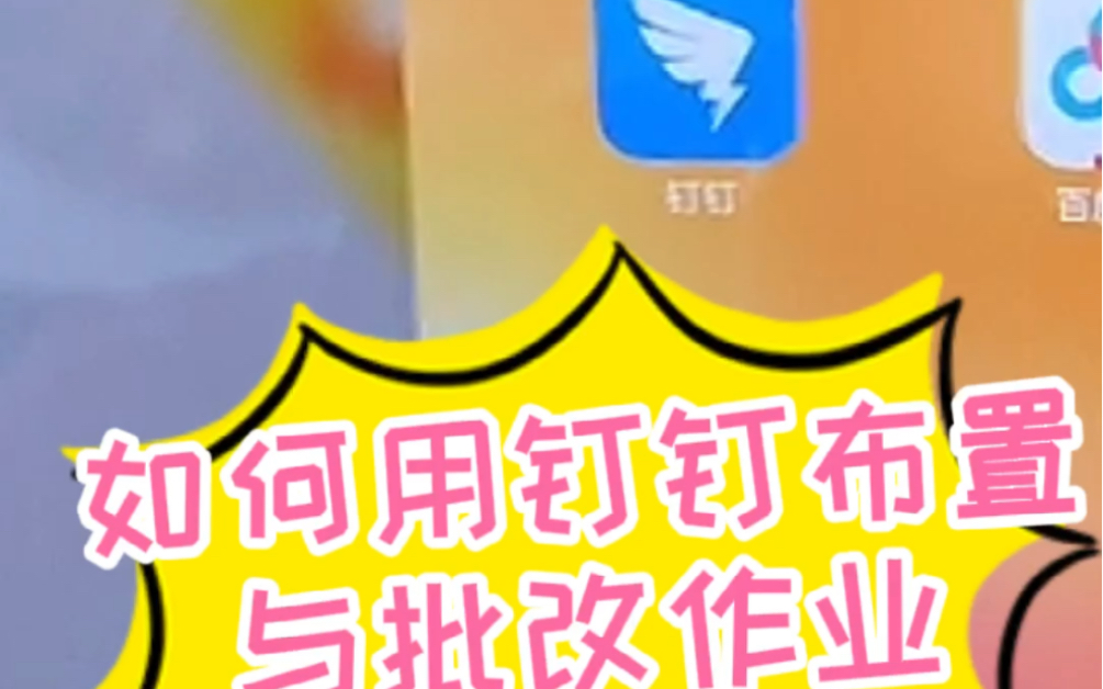 用钉钉布置批改作业哔哩哔哩bilibili