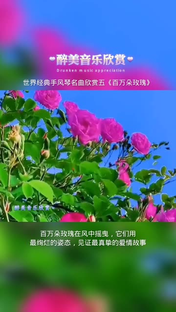 [图]手风琴吉他共同演绎《百万朵玫瑰》