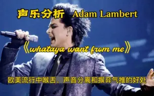 Tải video: (专业分析)Adam Lambert演唱《Whataya want from me》欣赏其喉舌分离技术和气息的顶级控制以及咬字的完美状态