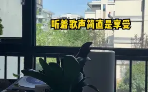 Download Video: 艺考培训学校校长在办公室清唱，一开嗓也太惊艳了，“老捷达选配了柏林之声”。