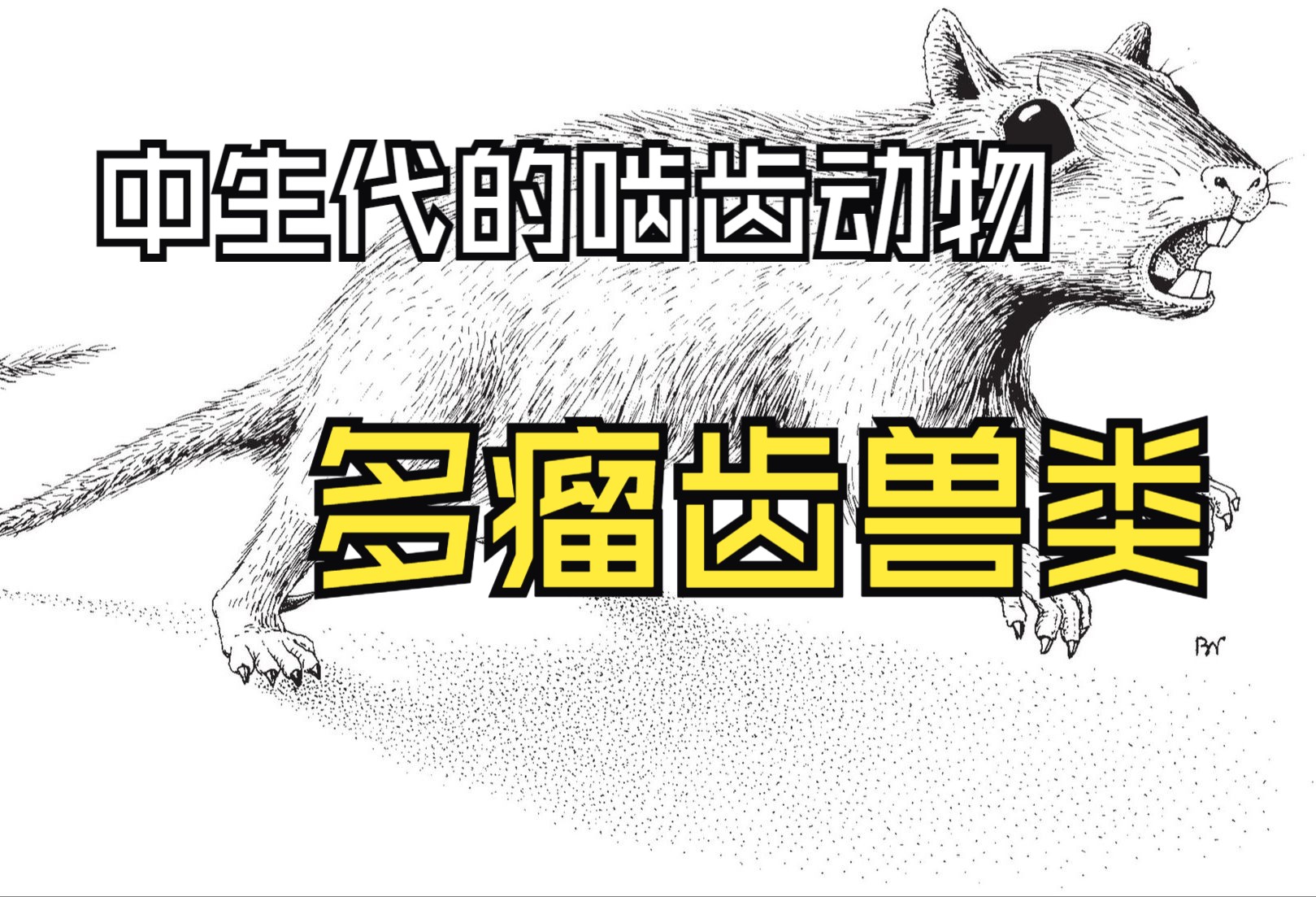 中生代哺乳动物——多瘤齿兽类(1)研究与发现历史,分类地位-龙首魔