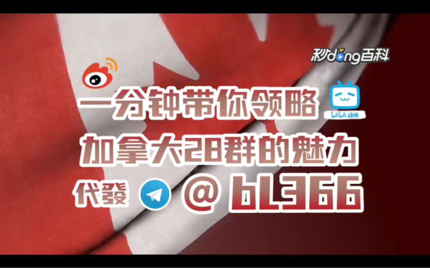 加拿大28群(中文字幕)