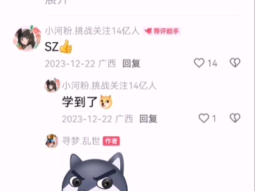 终于知道sz啥意思了