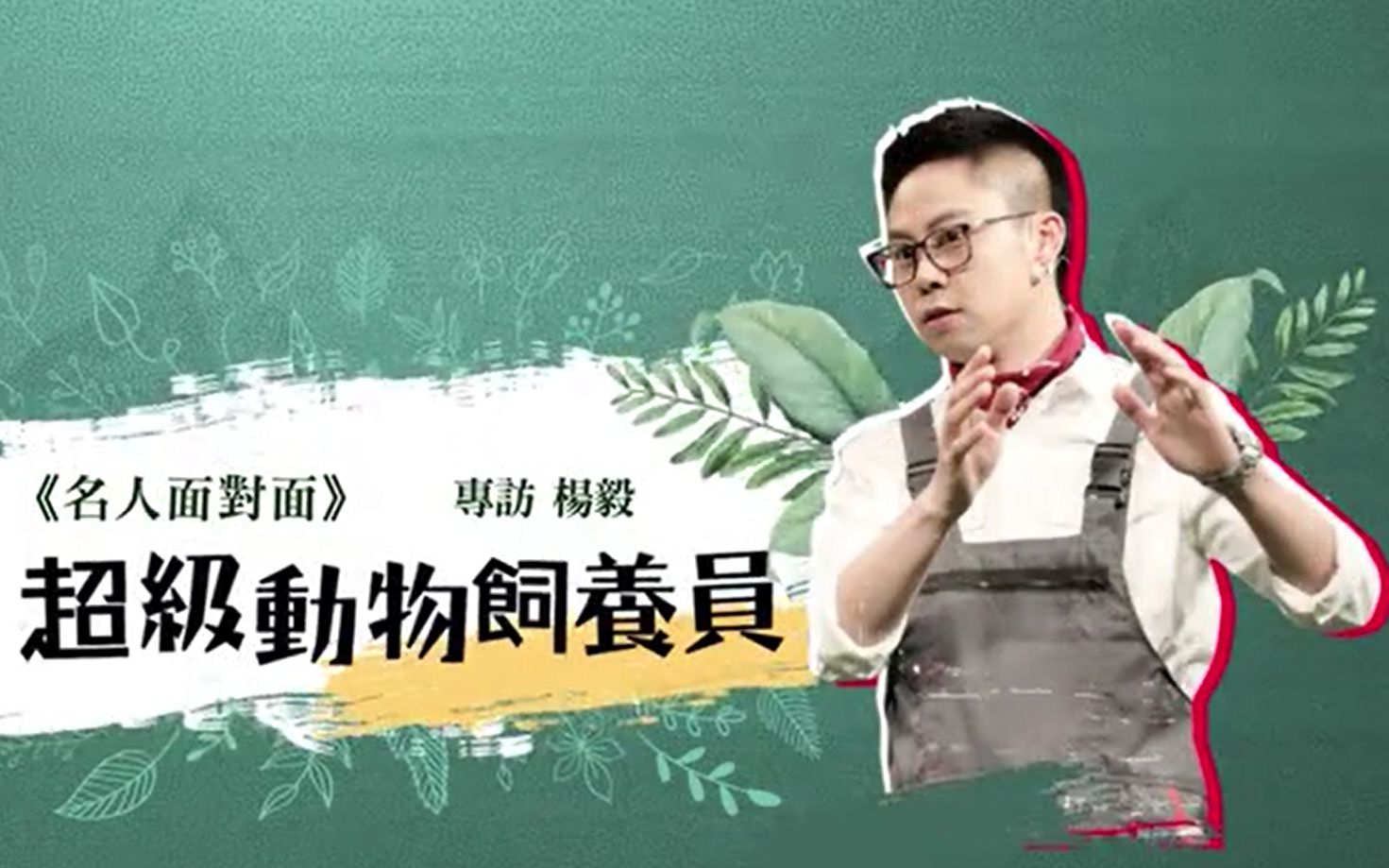 凤凰卫视名人面对面专访杨毅超级动物饲养员