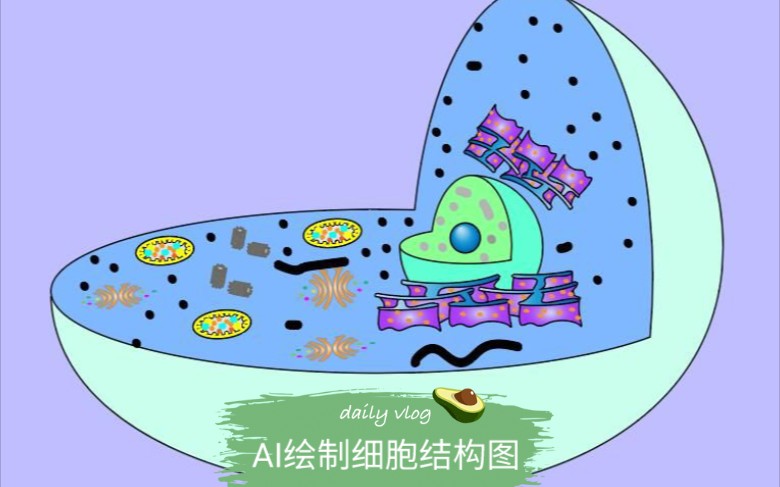 科研绘图 AI绘制细胞结构图哔哩哔哩bilibili