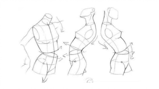 漫画教程 怎么画女生身体 怎样才能画好动漫女生身体比例 画好动漫女生身体比例有哪些技巧 哔哩哔哩 つロ干杯 Bilibili