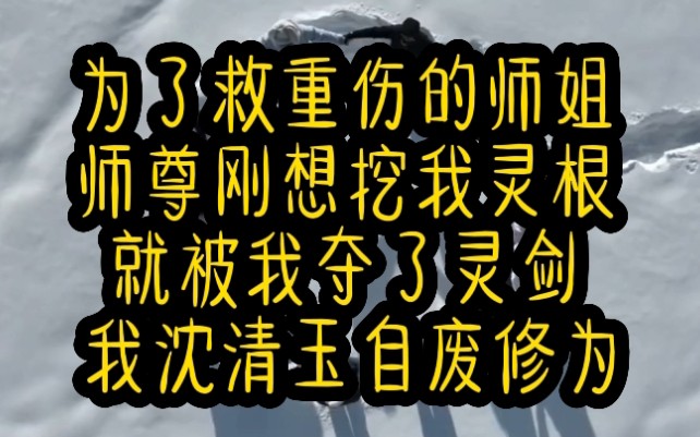 为了救重伤的师姐师尊刚想挖我灵根就被我夺了灵剑我沈清玉自废修为此后与道衍宗再无任何干系寒光闪过剑身已然没入我腹部有弟子还没反应过来哔哩哔...