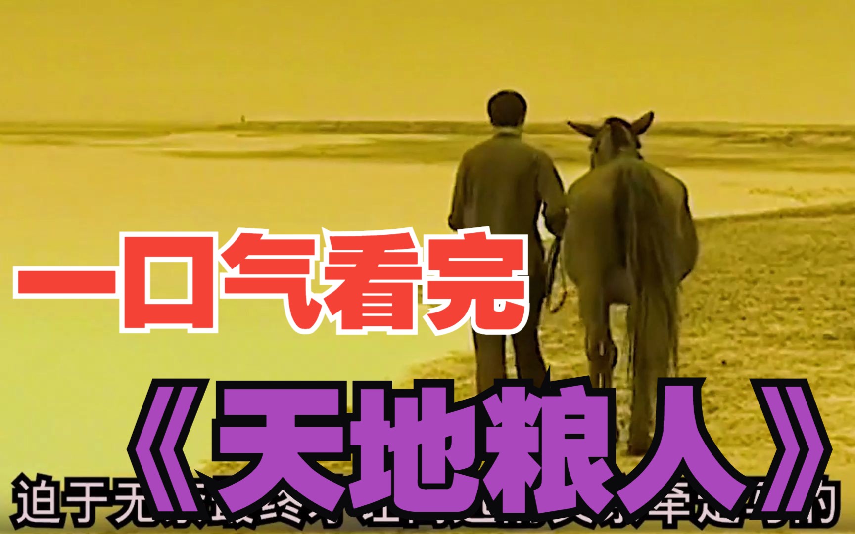 一口气看完《天地粮人》高远年少无知把自己父亲给害惨了