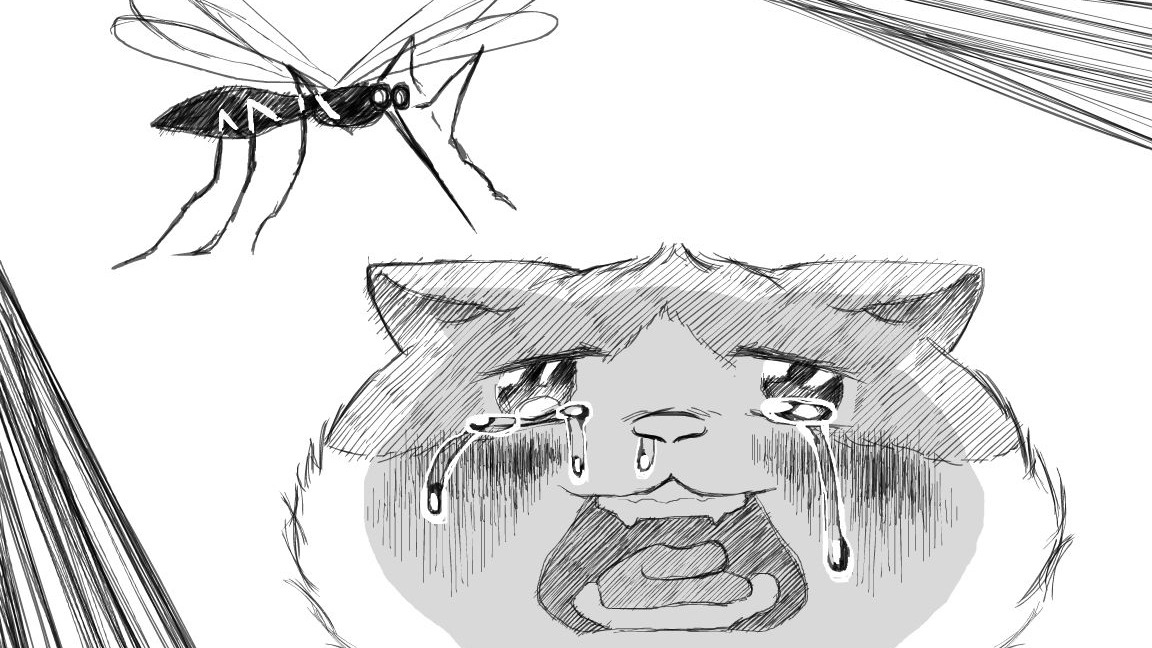 可爱的南方蚊子