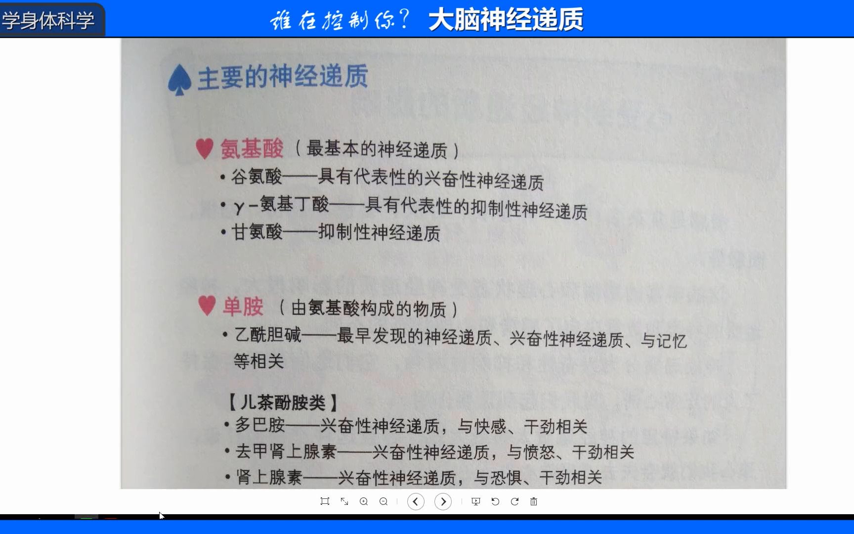 6 主要的神经递质及其作用 5羟色胺 多巴胺 12岁常荣学习 谁在控制你 大脑神经递质哔哩哔哩bilibili