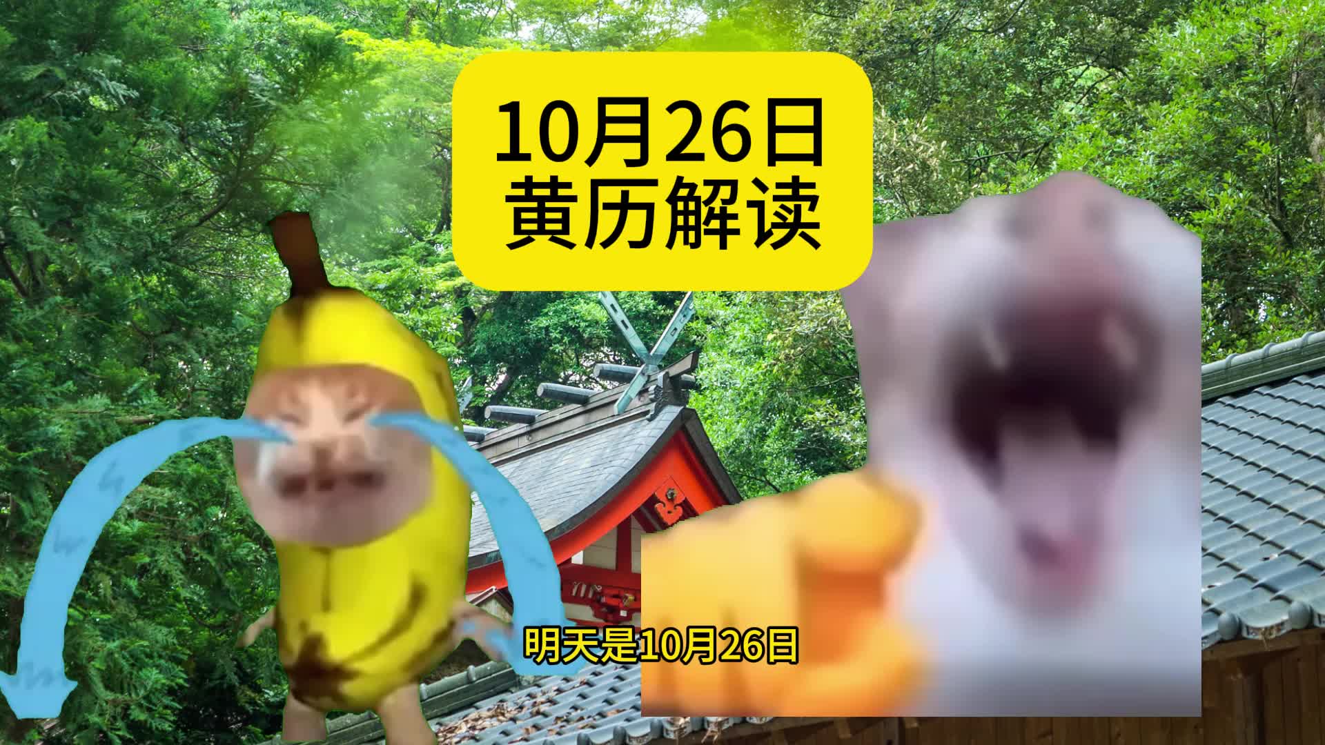 【猫meme】10月26日黄历解读(每日必看!)哔哩哔哩bilibili