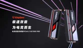 Download Video: 金胜维 KingSpec XG7000 PRO（有缓）专为电竞而生