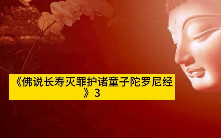 长寿经《佛说长寿灭罪护诸童子陀罗尼经》3哔哩哔哩bilibili