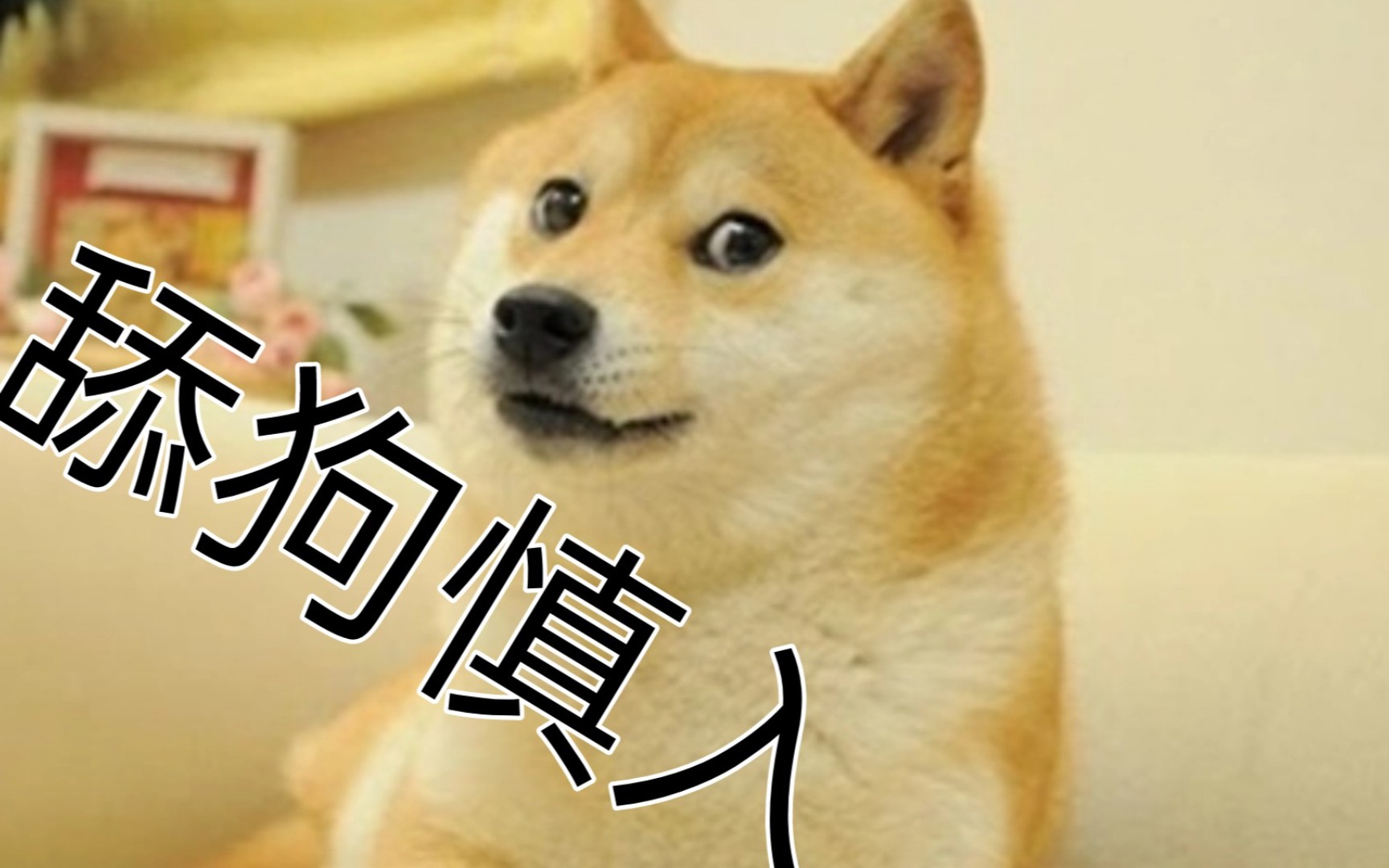 答应我,别做舔狗好吗