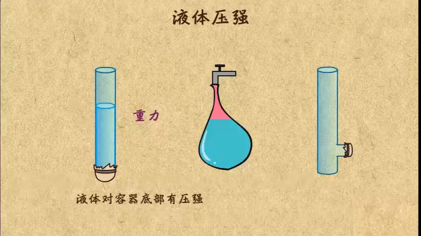 11. 液体压强的产生原因
